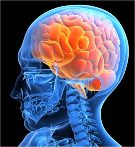 Brain health needs a good diet brain health