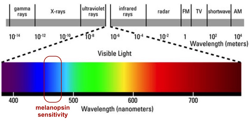 Frequency Spectrum Chart